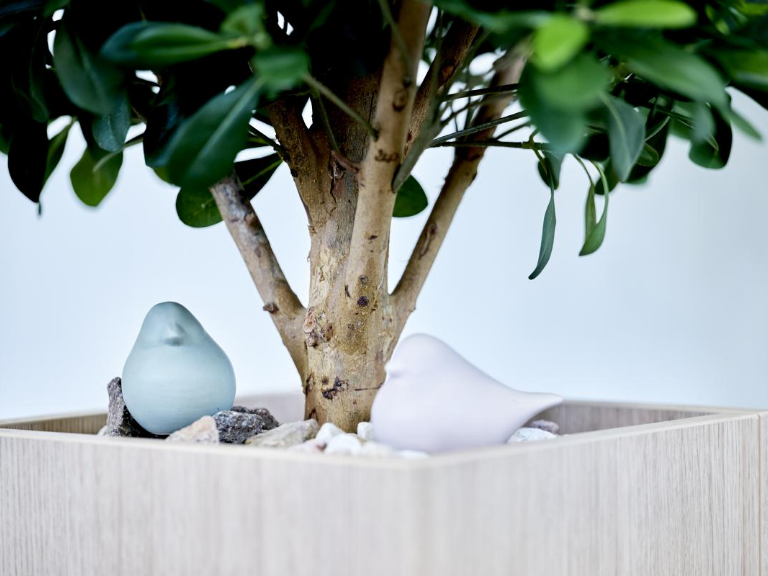 Blumentopf mit Pflanze, darin stehen zwei Keramikvögel in türkis und weiss.